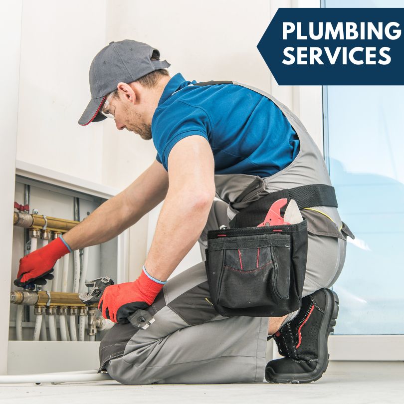 Pelahatchie Plumbing Company